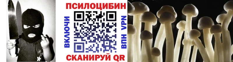 blacksprut зеркало Кувшиново Галлюциногенные грибы Cubensis